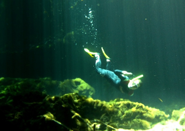  plongée en apnée en profondeur 